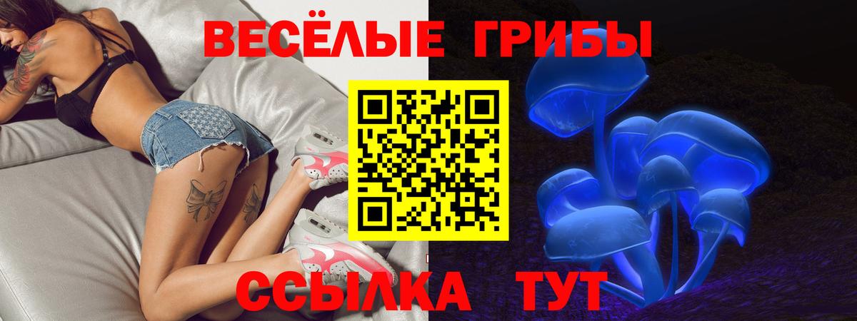 Большой Камень  Галлюциногенные грибы GOLDEN TEACHER  Вход с VPN 